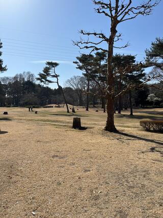 赤塚公園のクチコミ写真2
