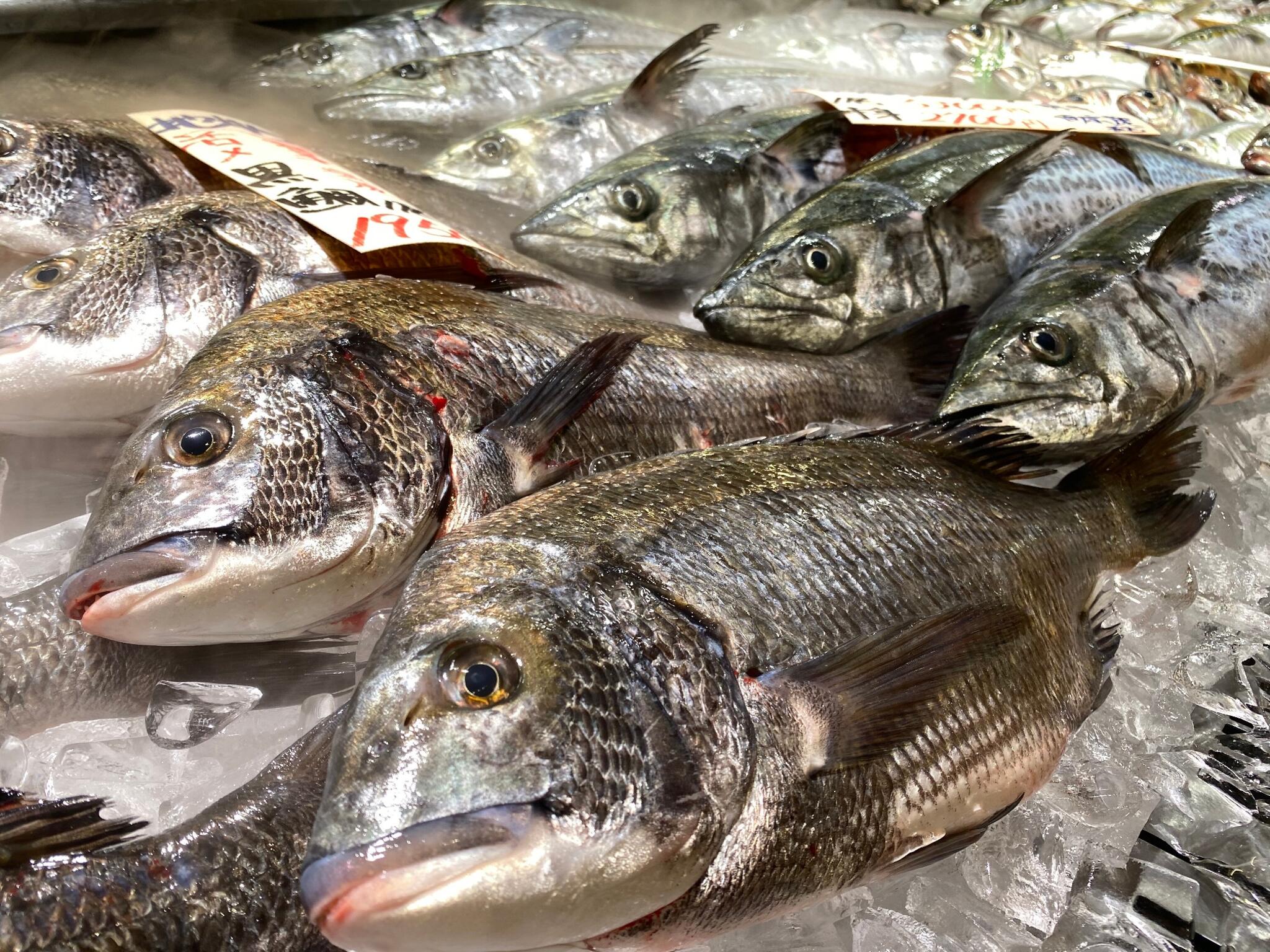 魚太郎 可児店　海鮮市場の代表写真4