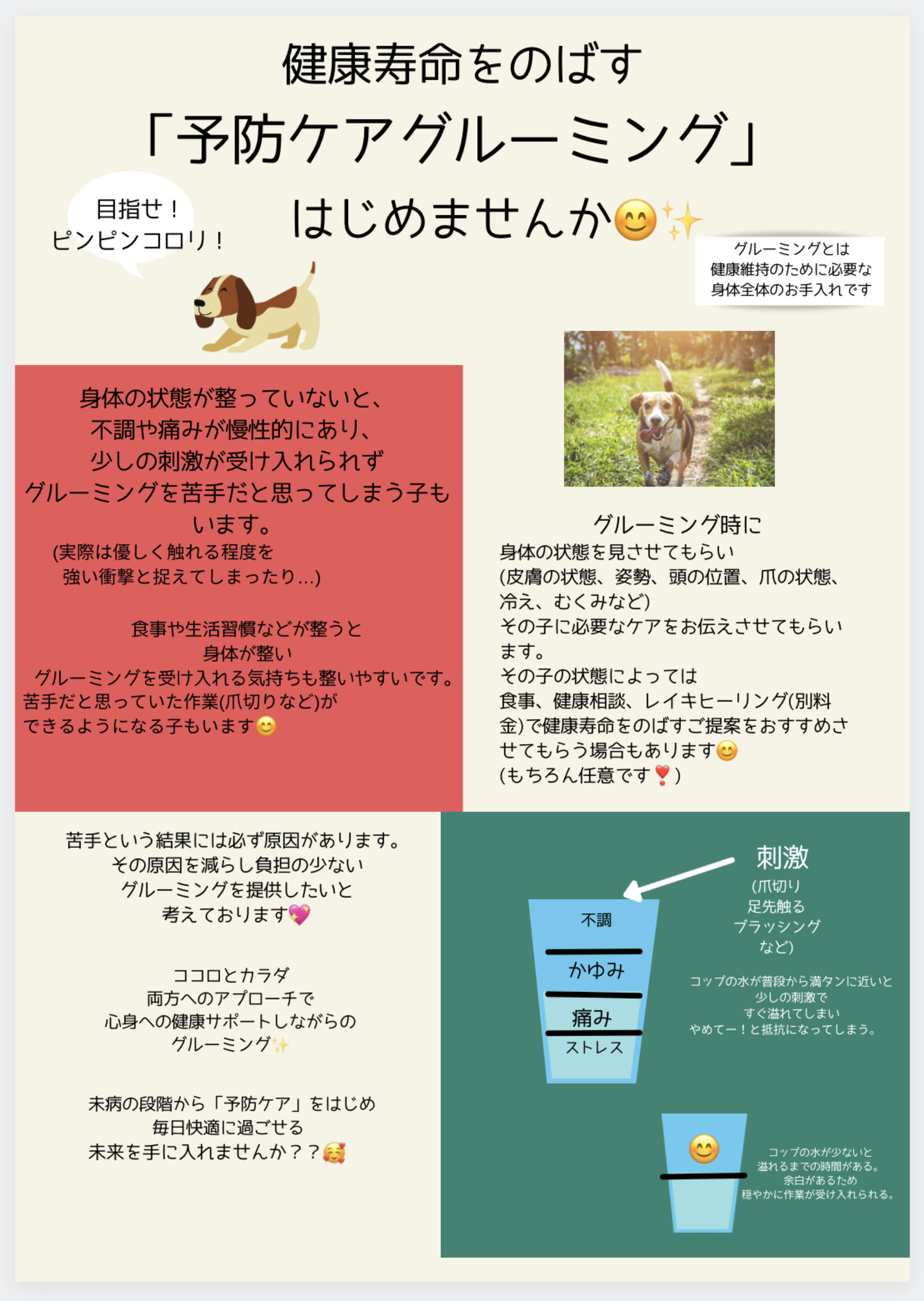 dogsalon MERRYの代表写真5