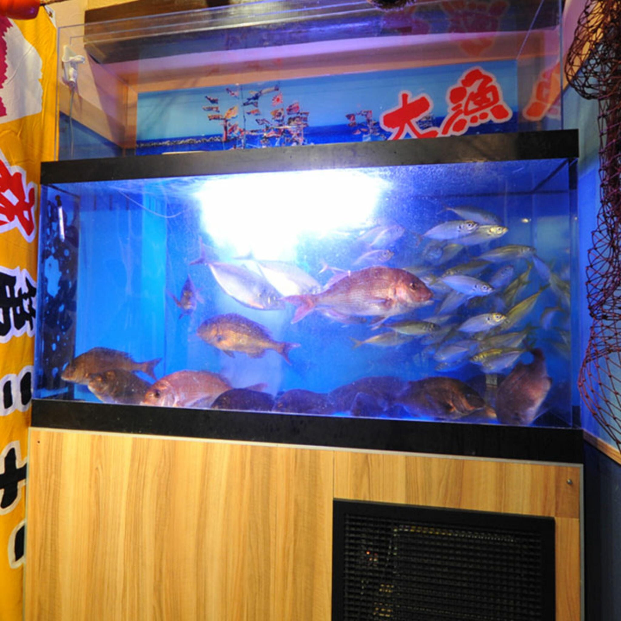 三代目網元 魚鮮水産 米子駅前店の代表写真2