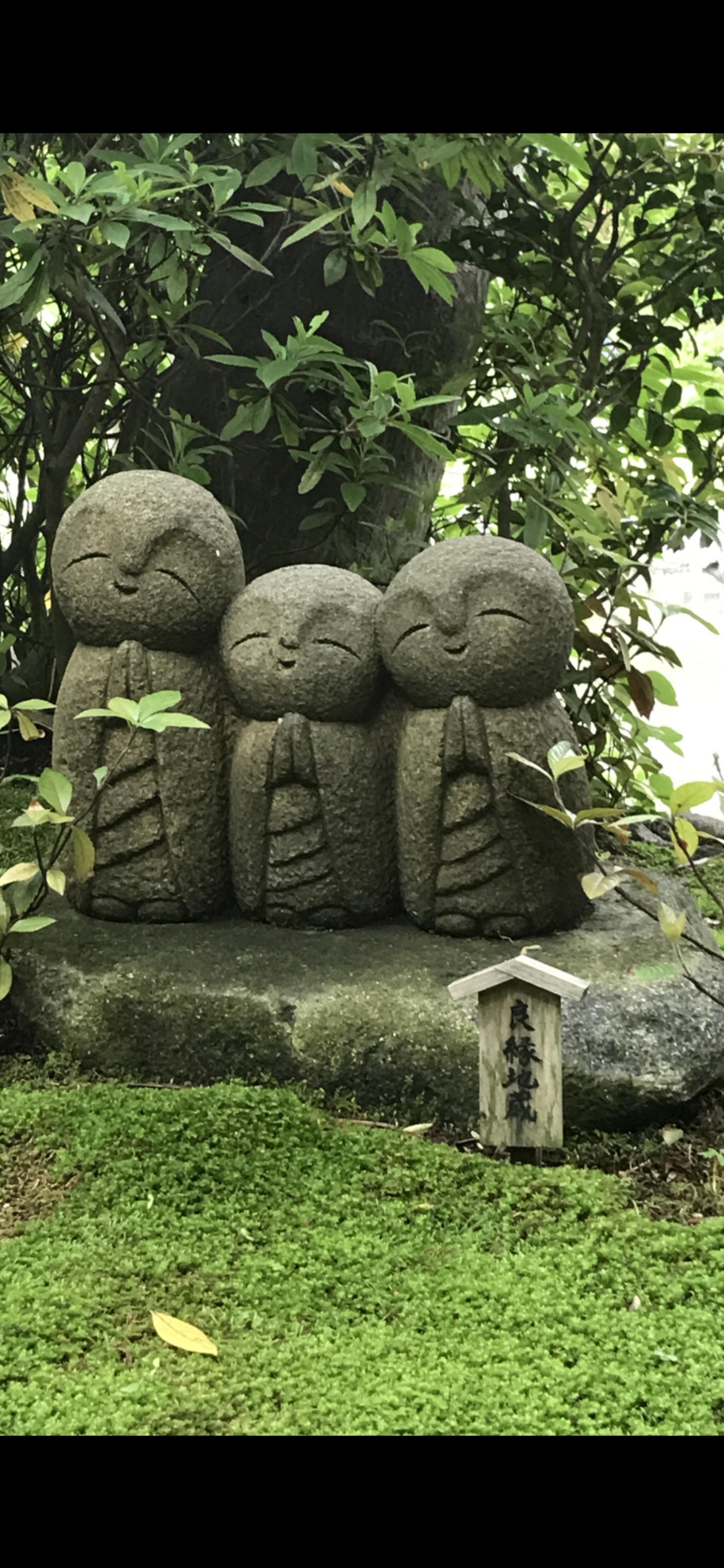 鎌倉 長谷寺の代表写真5