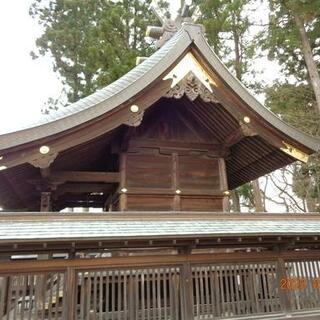 桜山神社の写真17