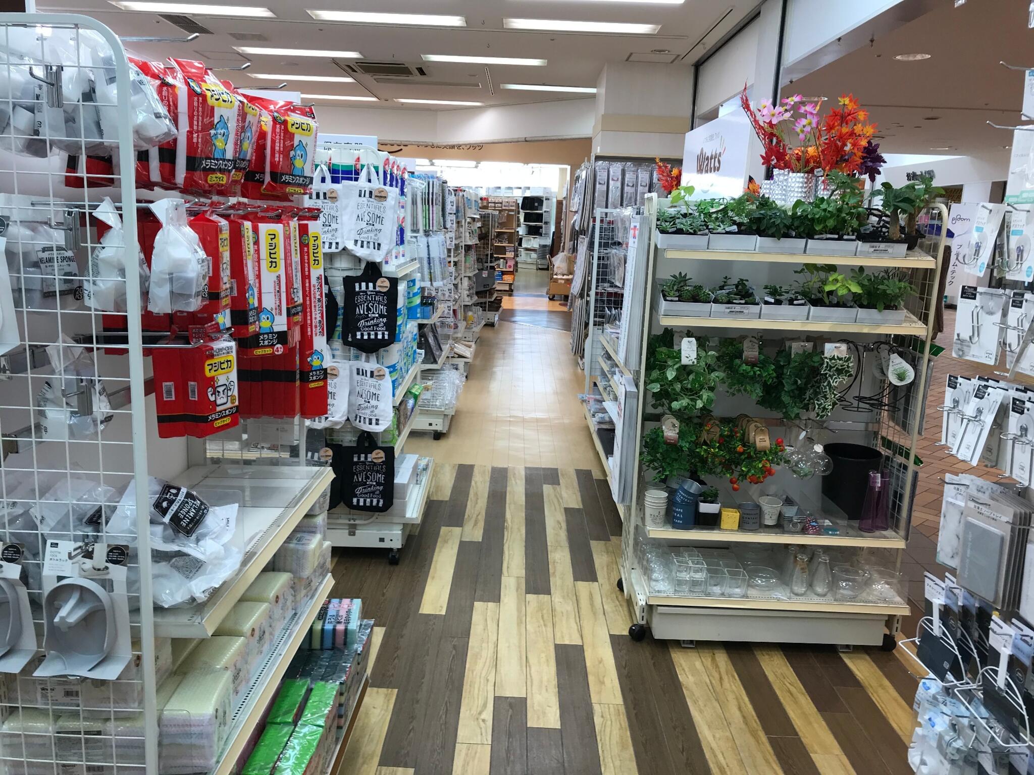 100円ショップ ワッツ妙法寺店の代表写真8