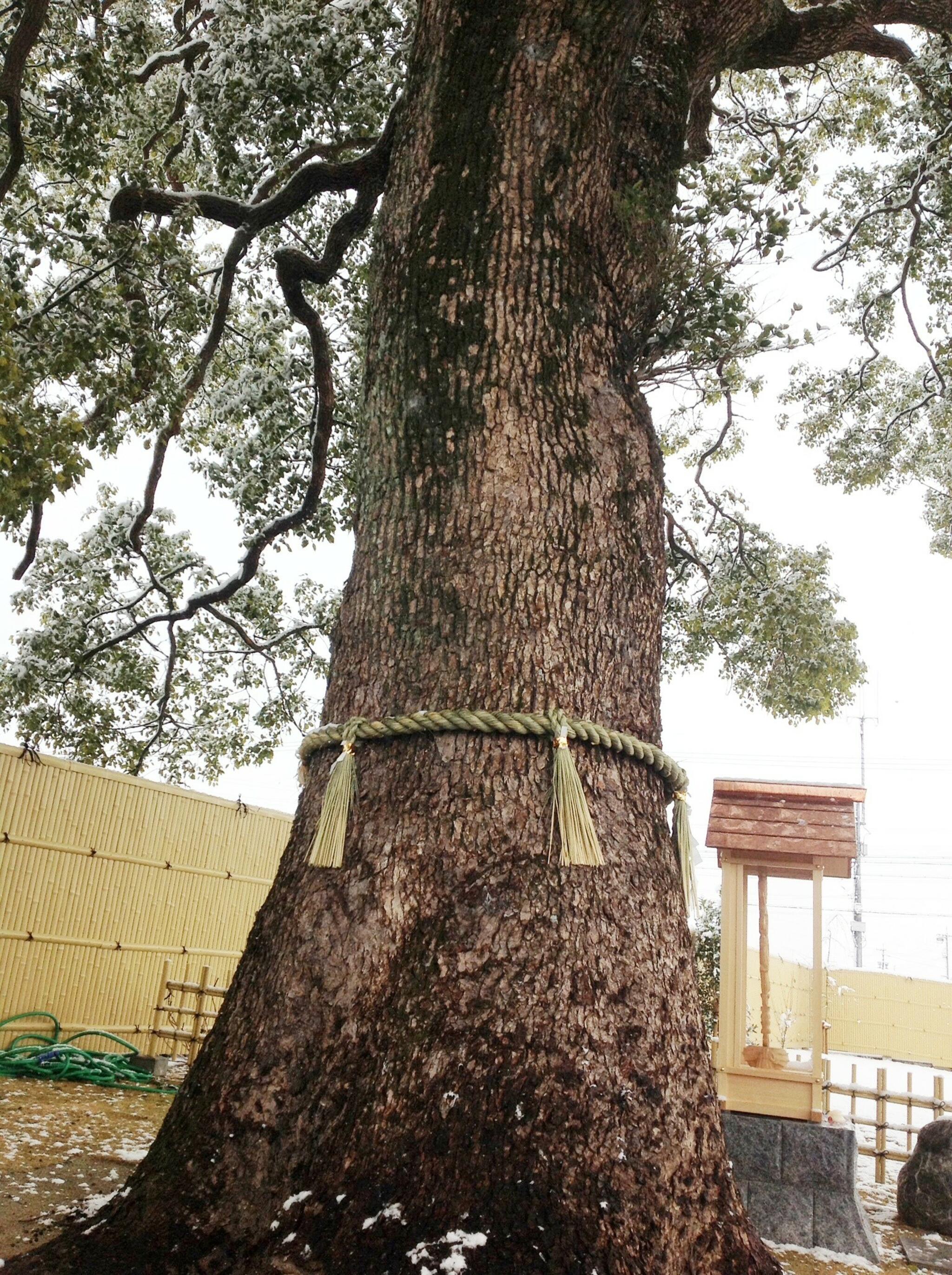 大法寺の代表写真8