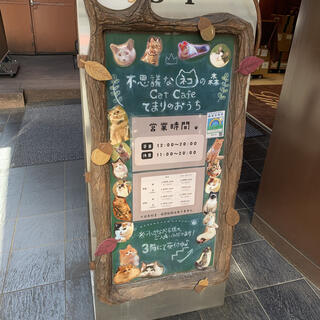 Cat Cafe てまりのおうちのクチコミ写真2