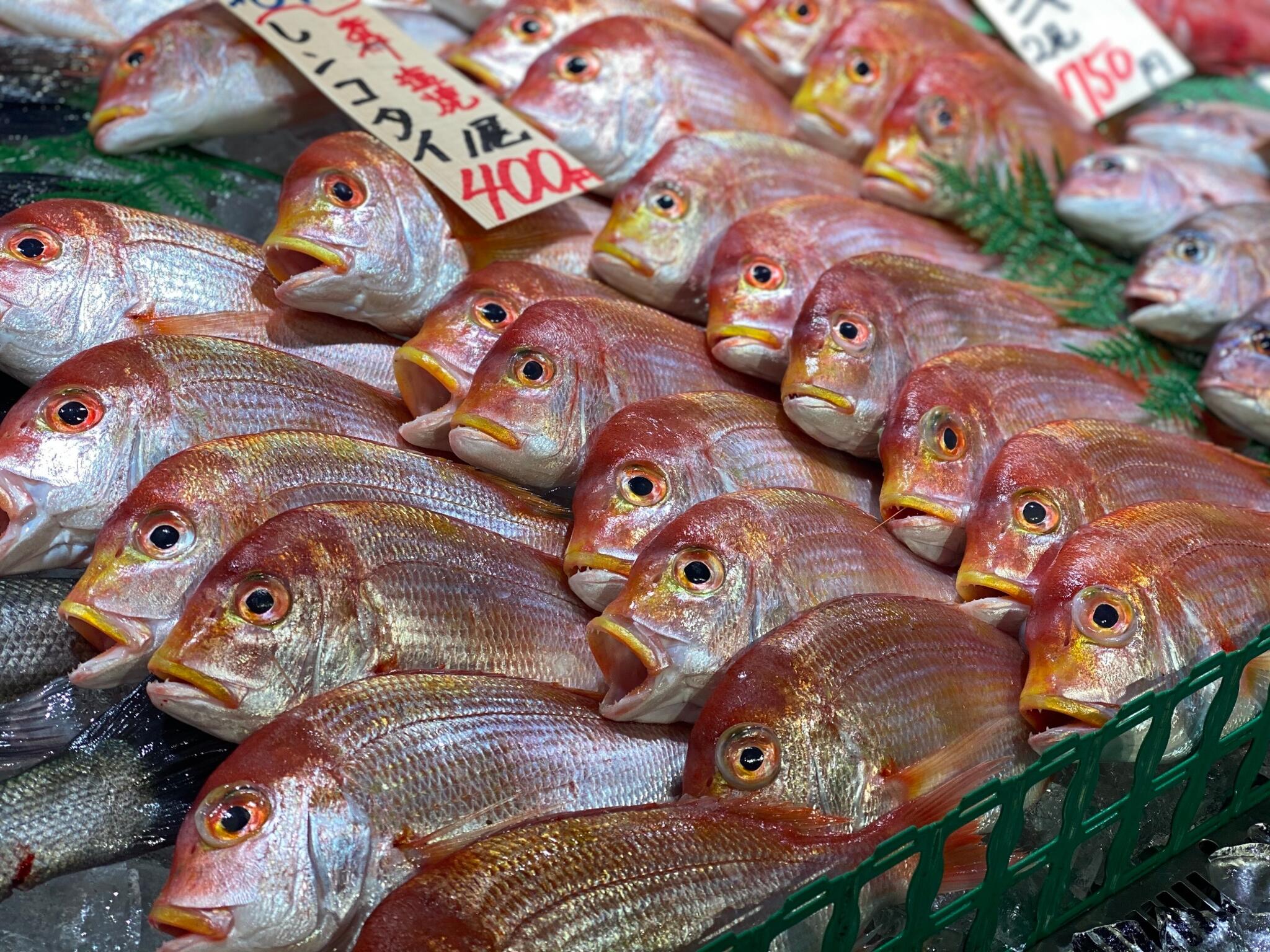 魚太郎 可児店　海鮮市場の代表写真8