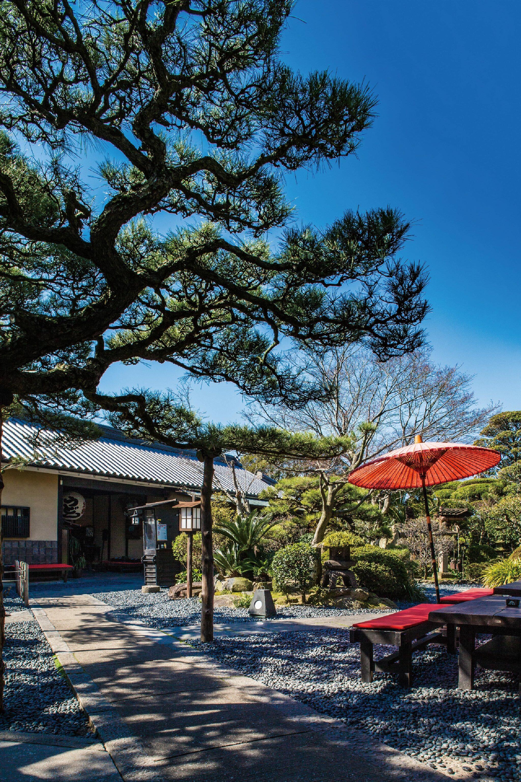 うどん本陣山田家　讃岐本店の代表写真4