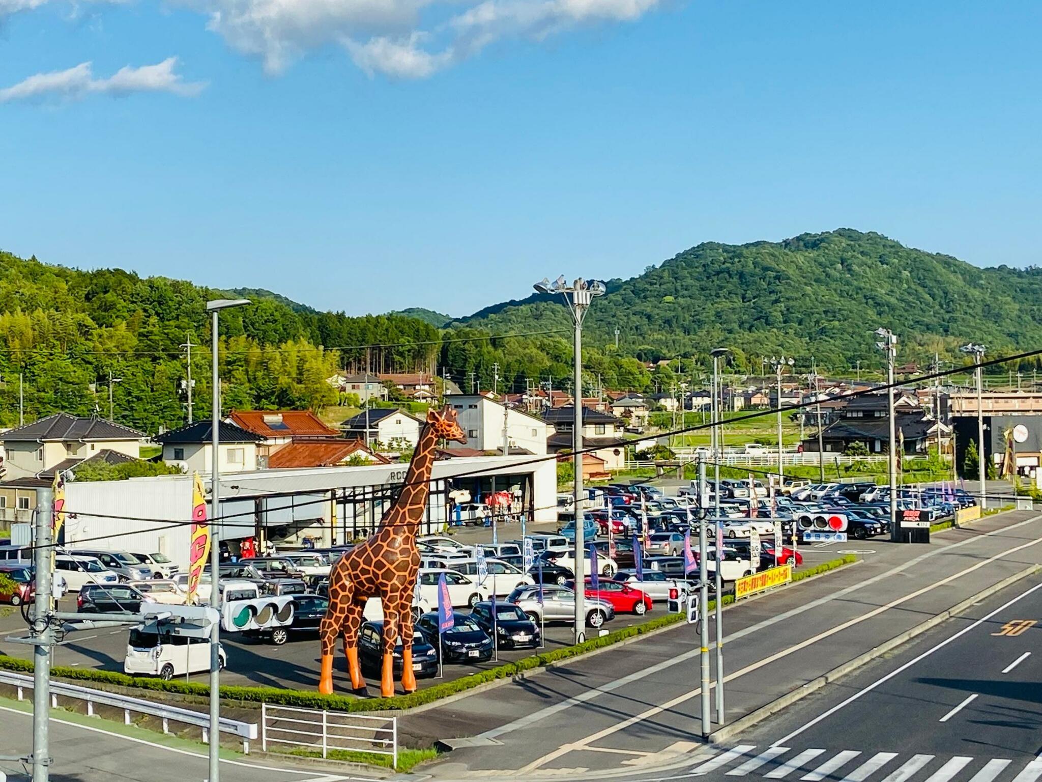 株式会社カーランドサファリ西条店の代表写真9