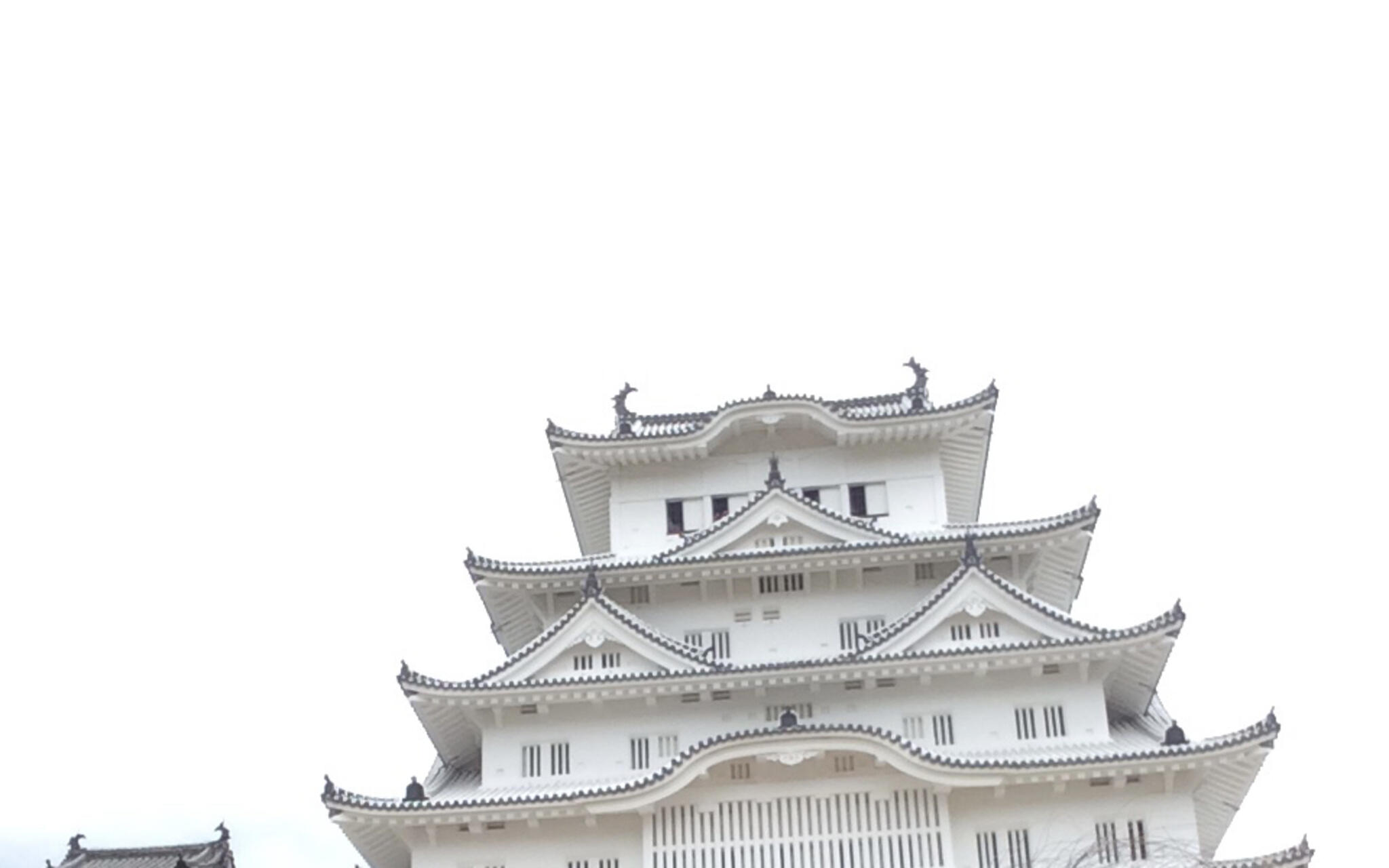 姫路城の代表写真6