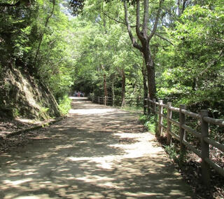 兵庫県立 甲山森林公園のクチコミ写真1
