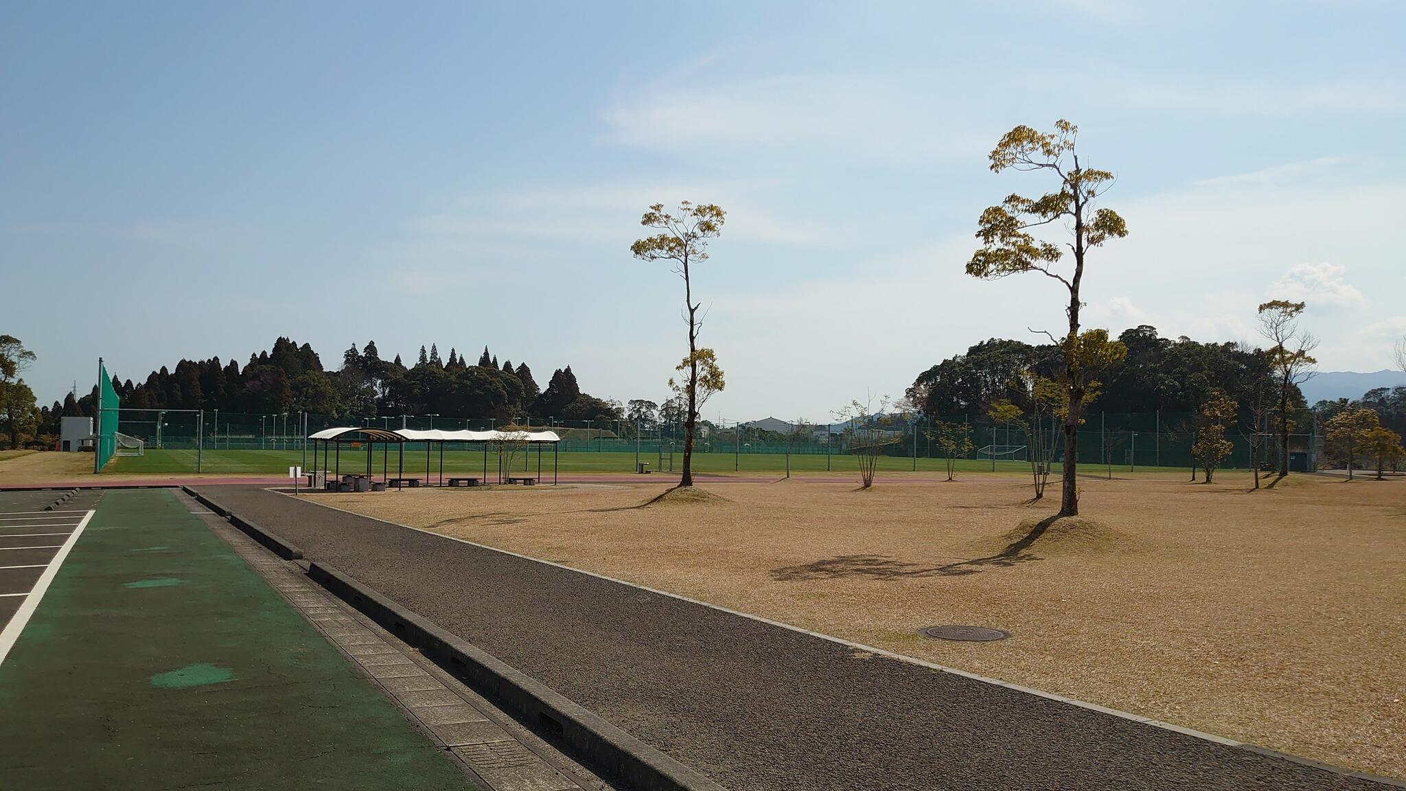 宮崎市立 清武総合運動公園の代表写真6