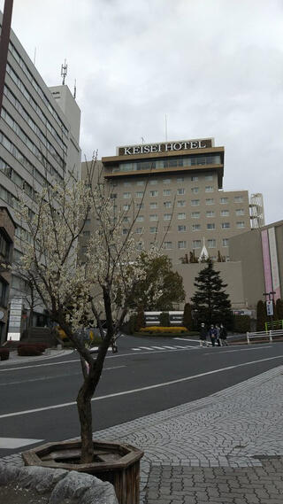 水戸京成ホテルのクチコミ写真1