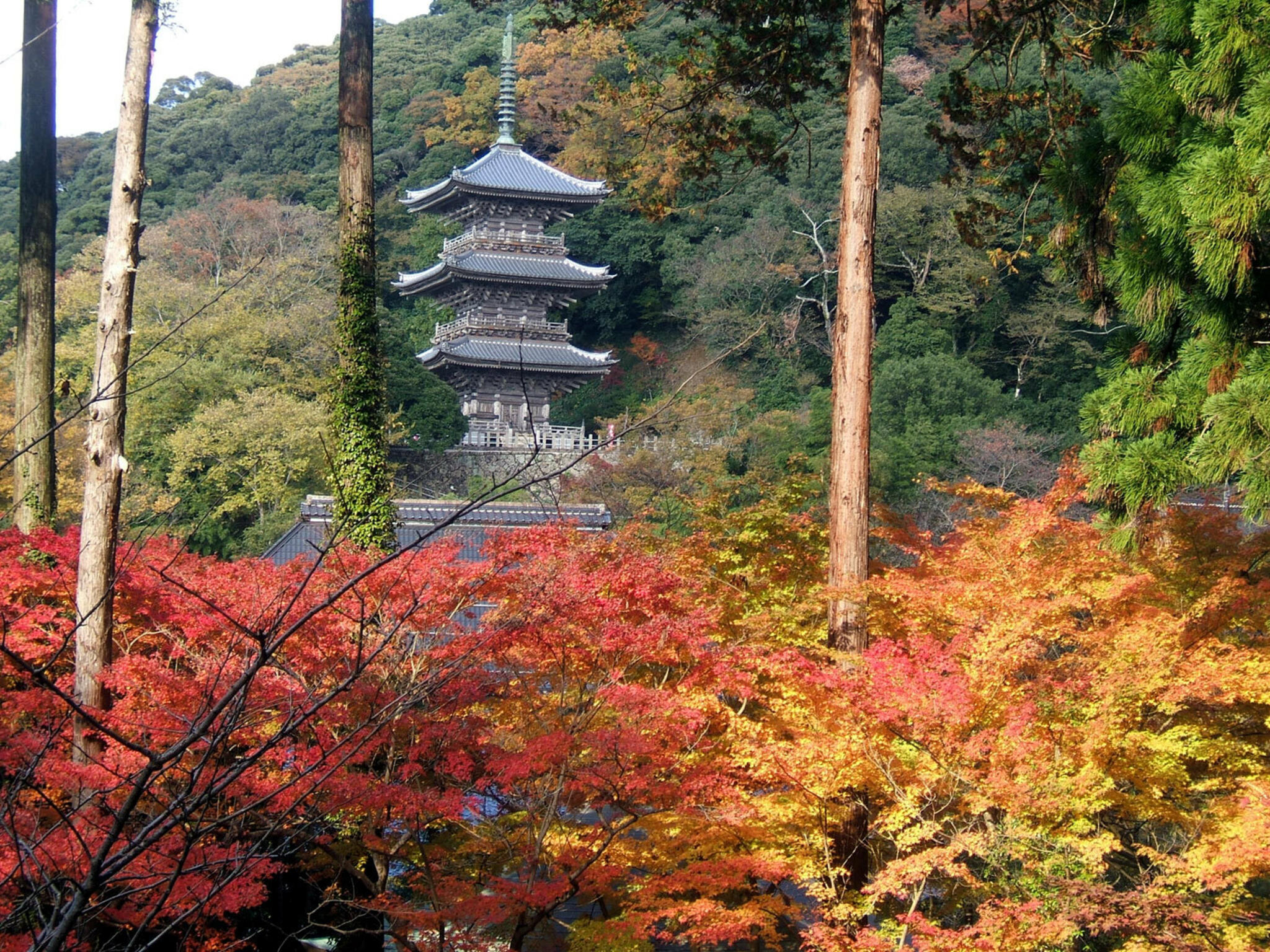 紅葉館の代表写真10