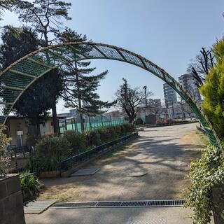 渋江公園の写真10