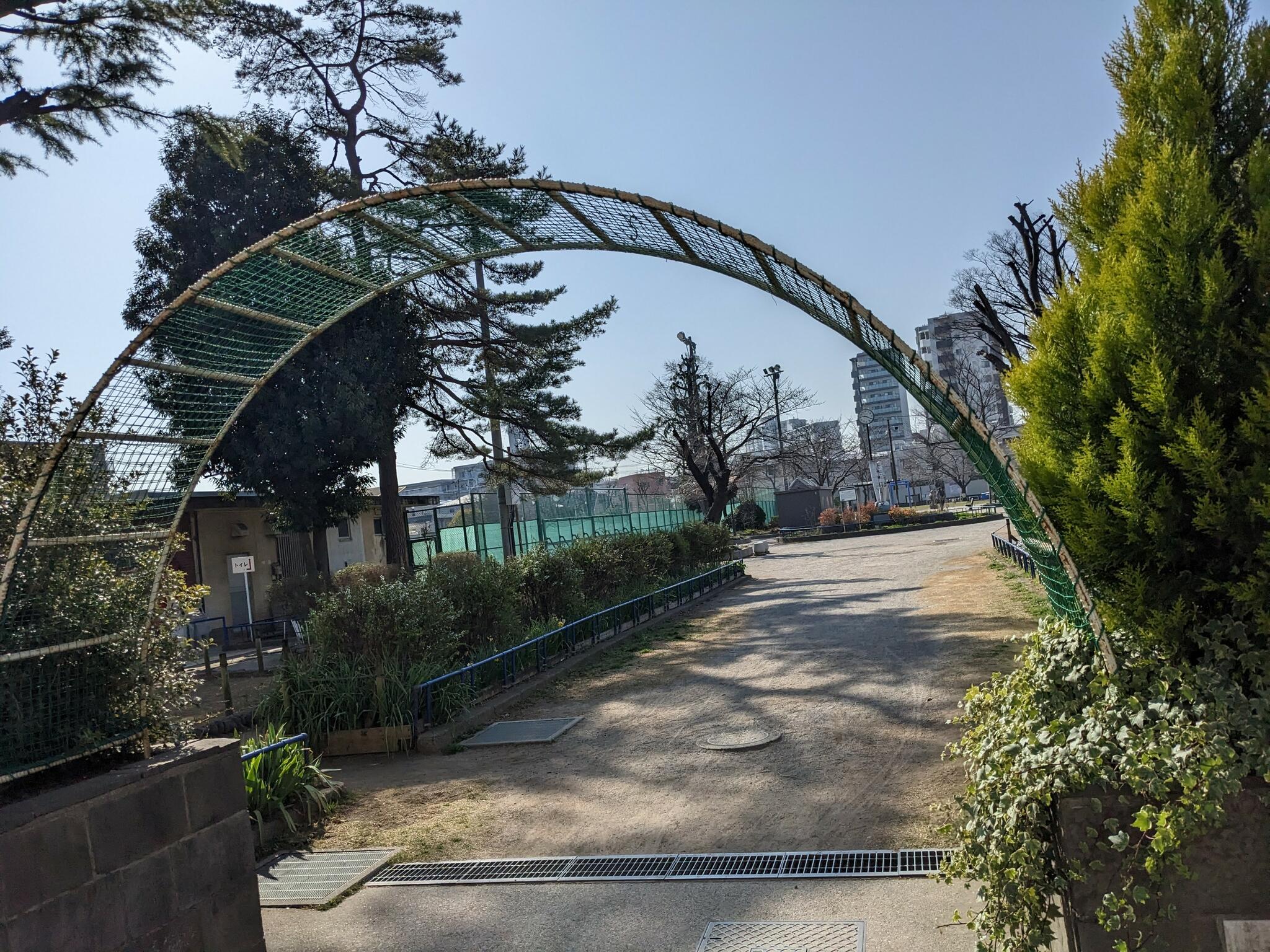 渋江公園の代表写真10