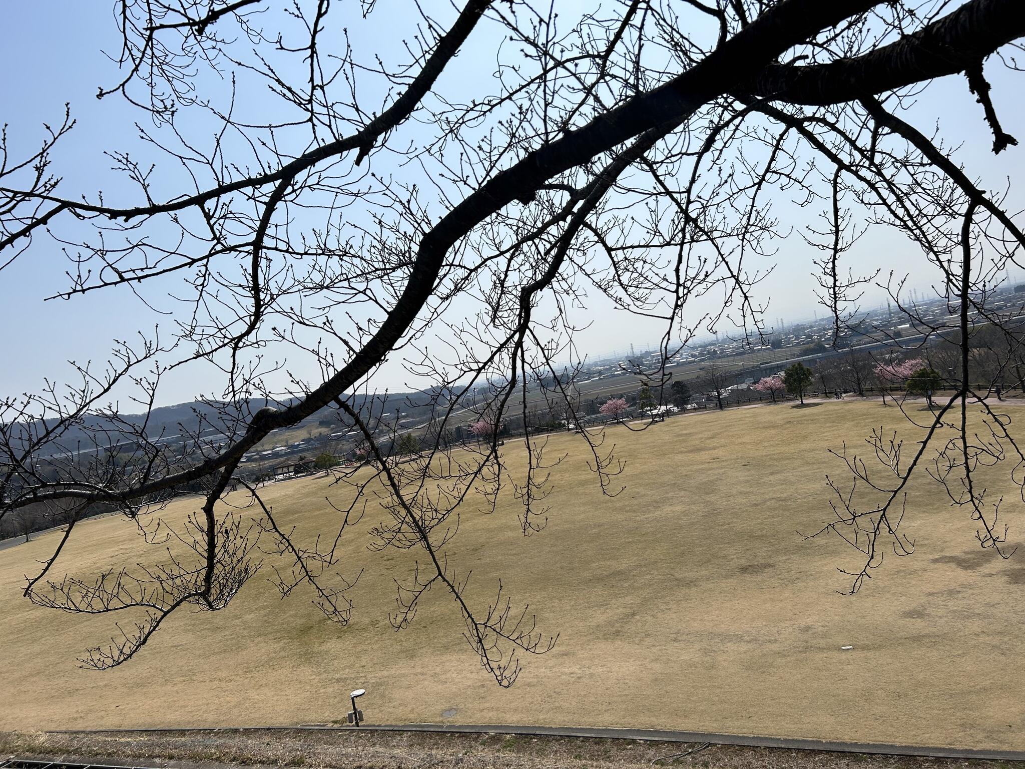 太田市 八王字山公園管理事務所の代表写真4