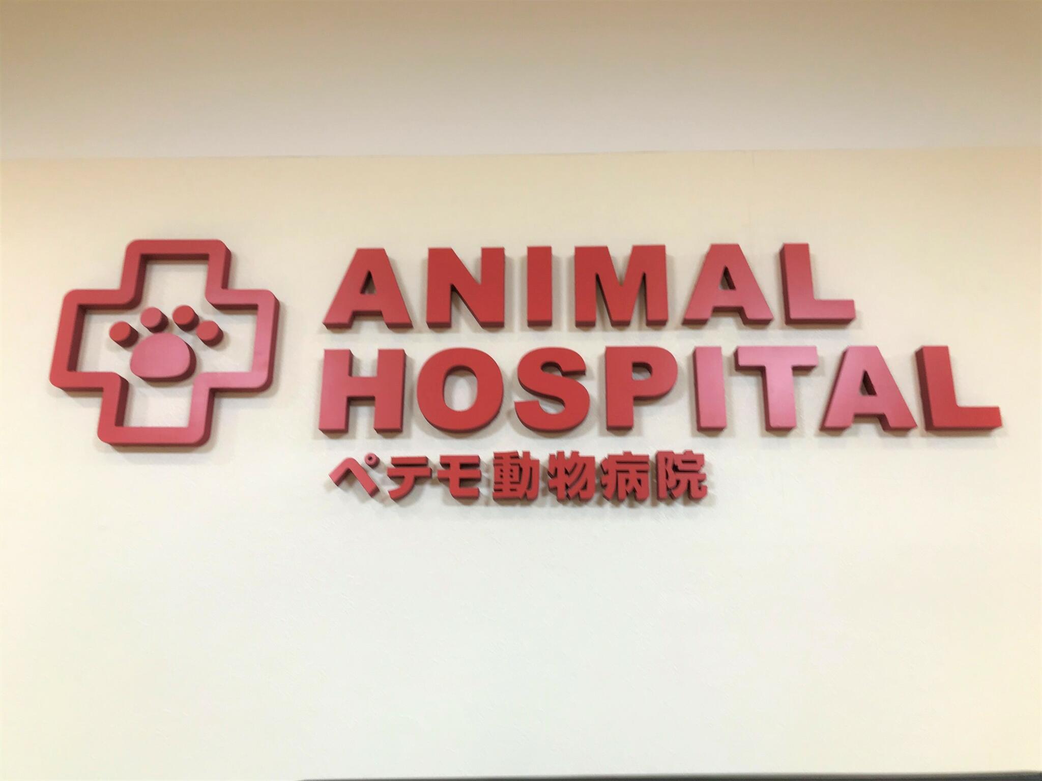 ペテモ動物病院 青葉台の代表写真9