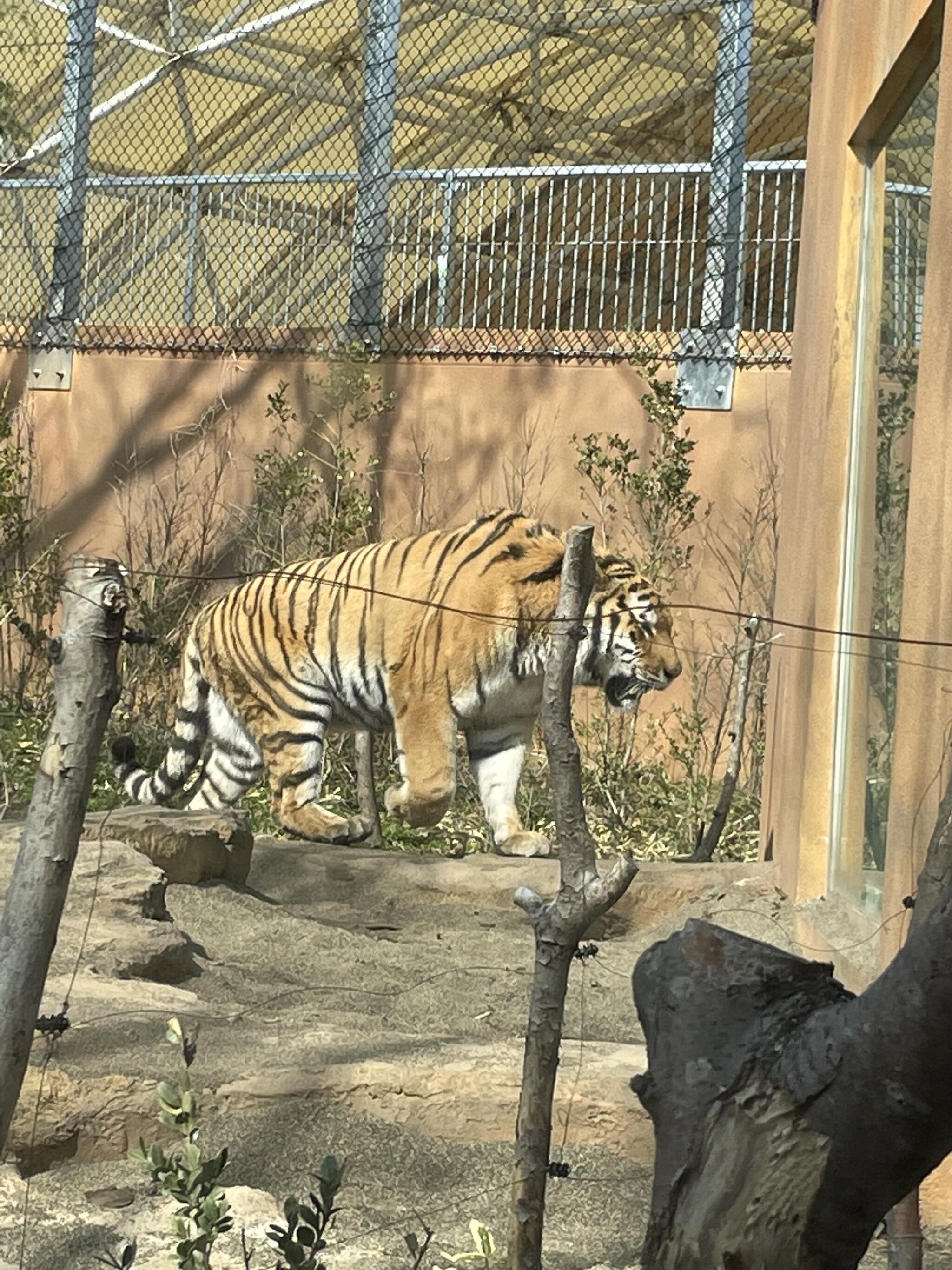 那須どうぶつ王国の代表写真9