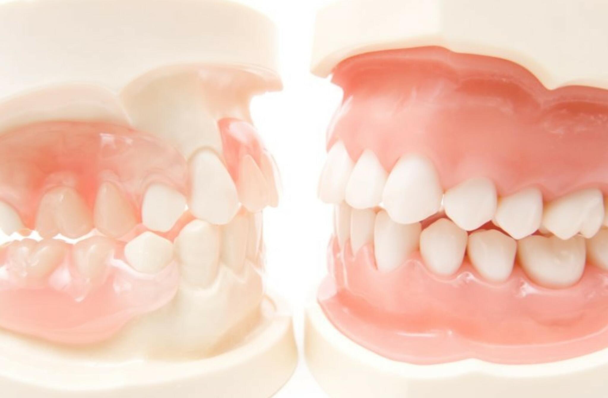 あおき矯正歯科の代表写真9