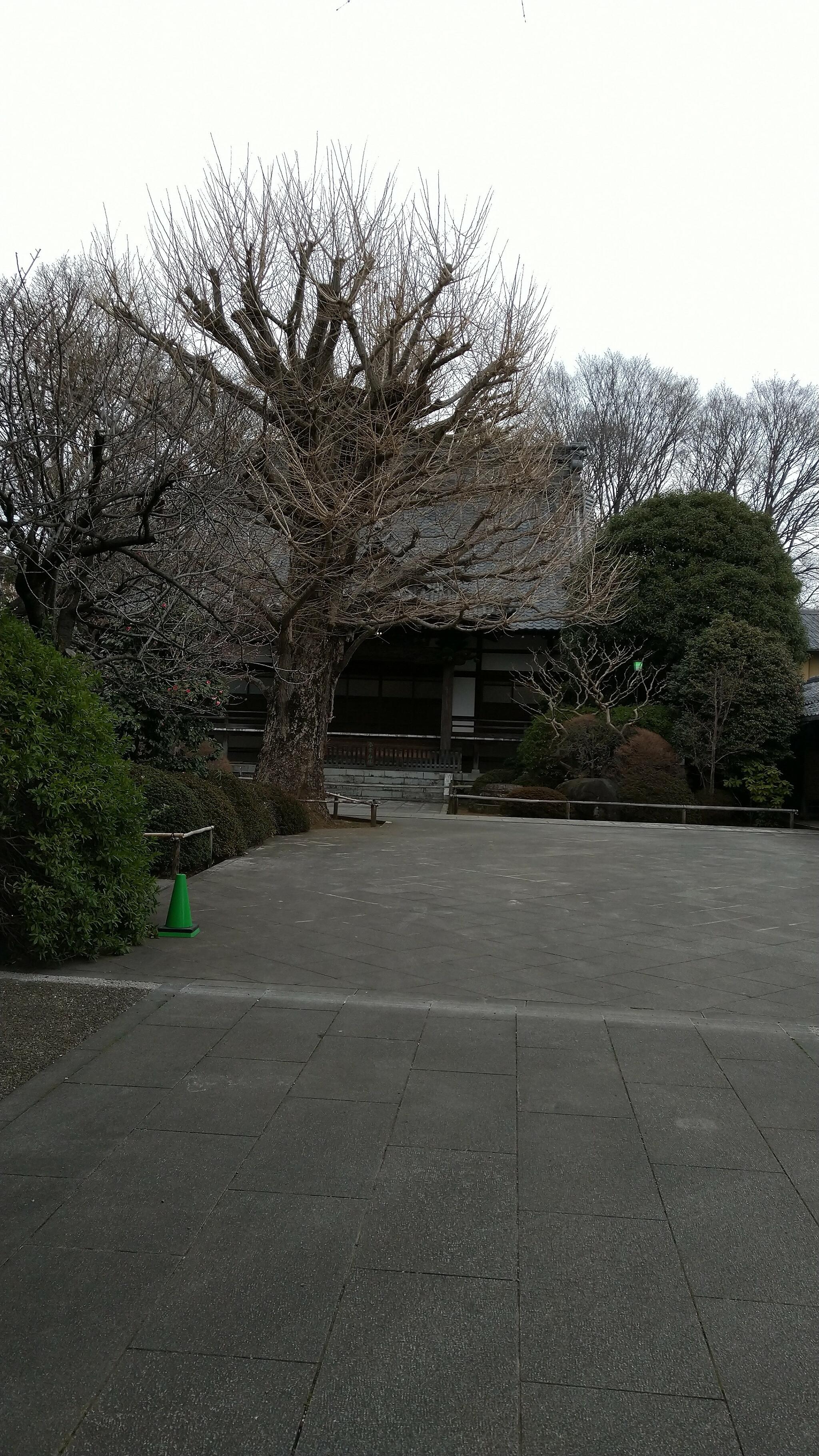 高円寺の代表写真8