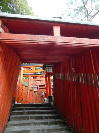 太皷谷稲成神社のクチコミ写真2