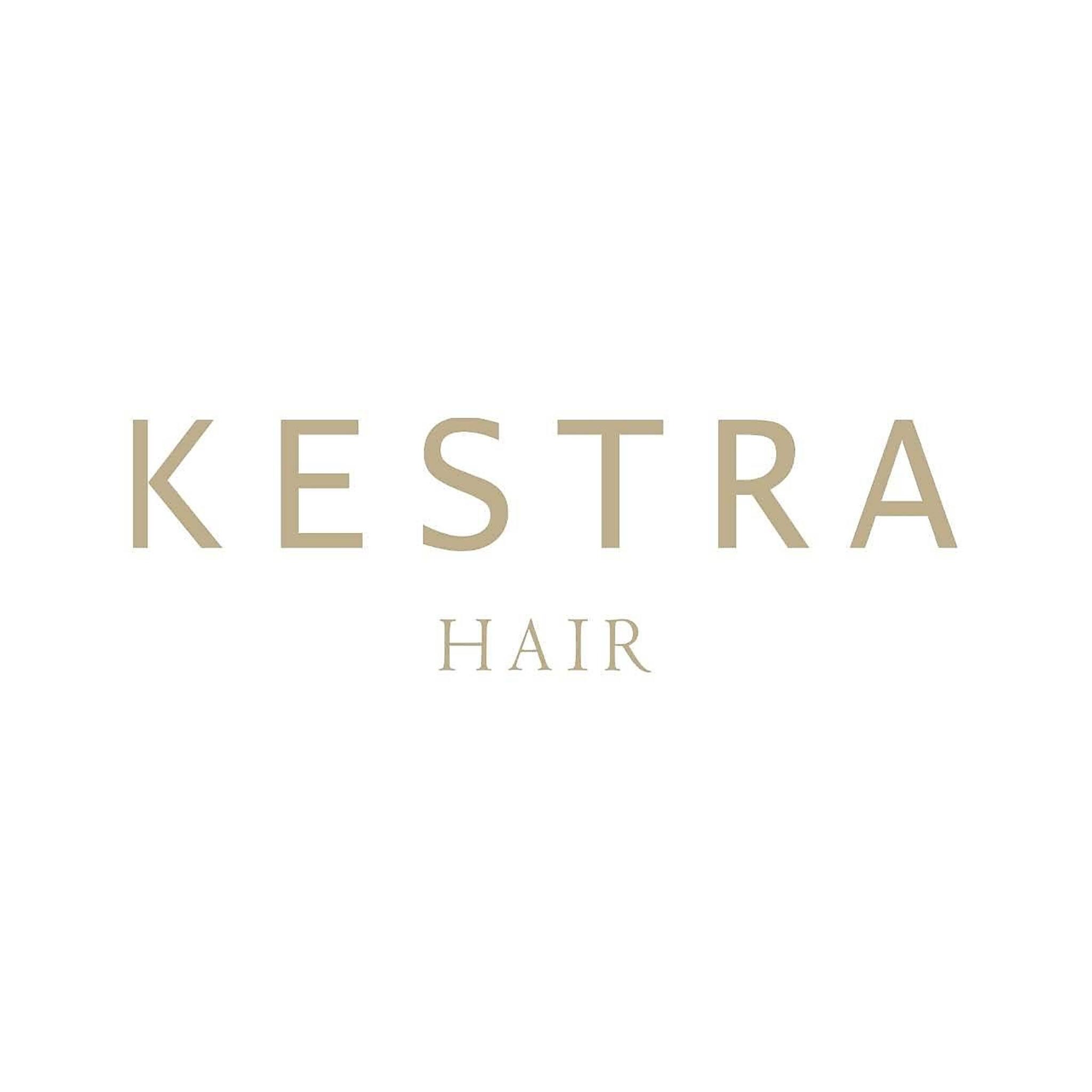 KESTRAの代表写真1