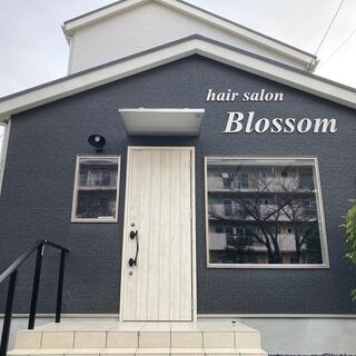 hair salon Blossomの写真1