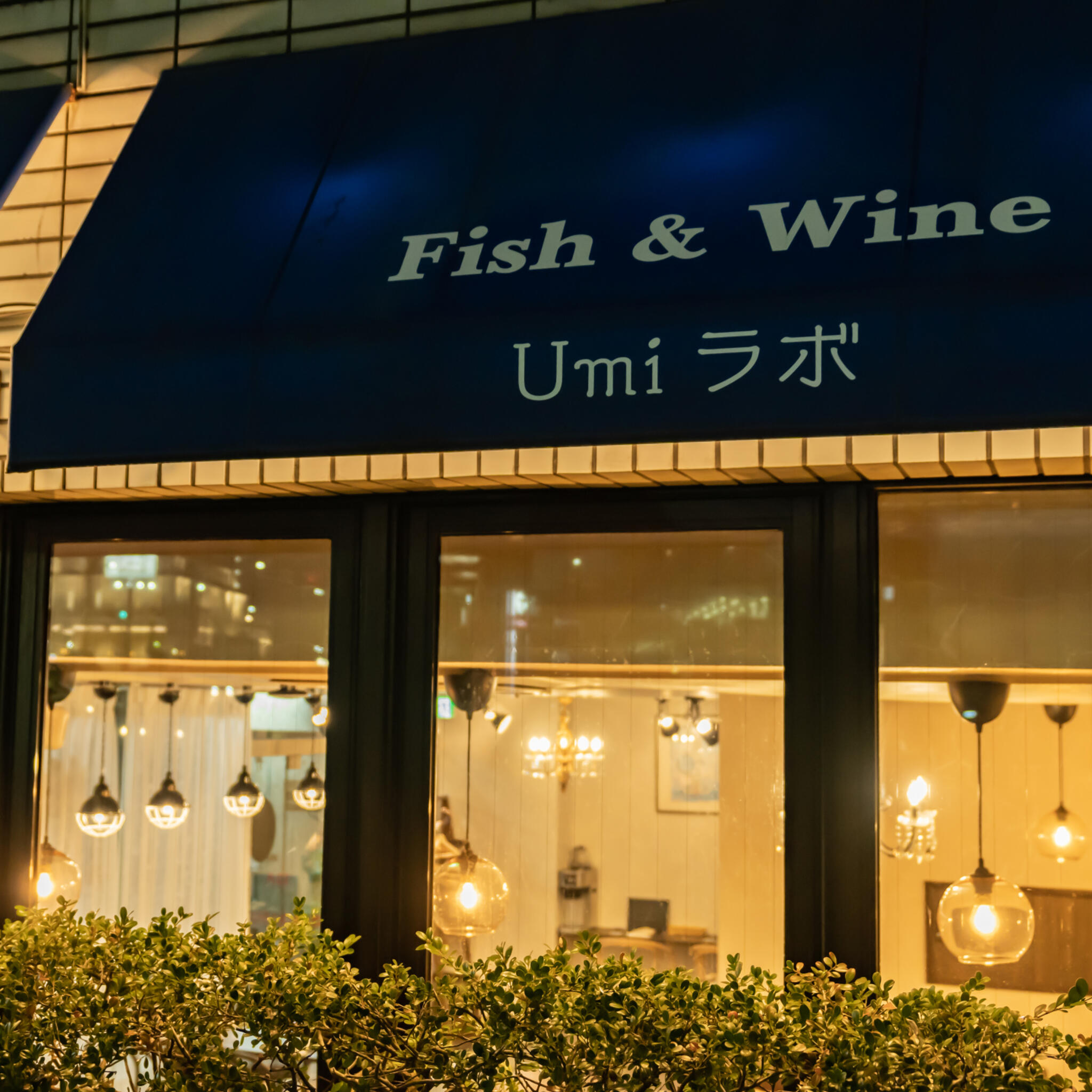 魚介イタリアン×チーズ UMIラボ千葉店の代表写真2