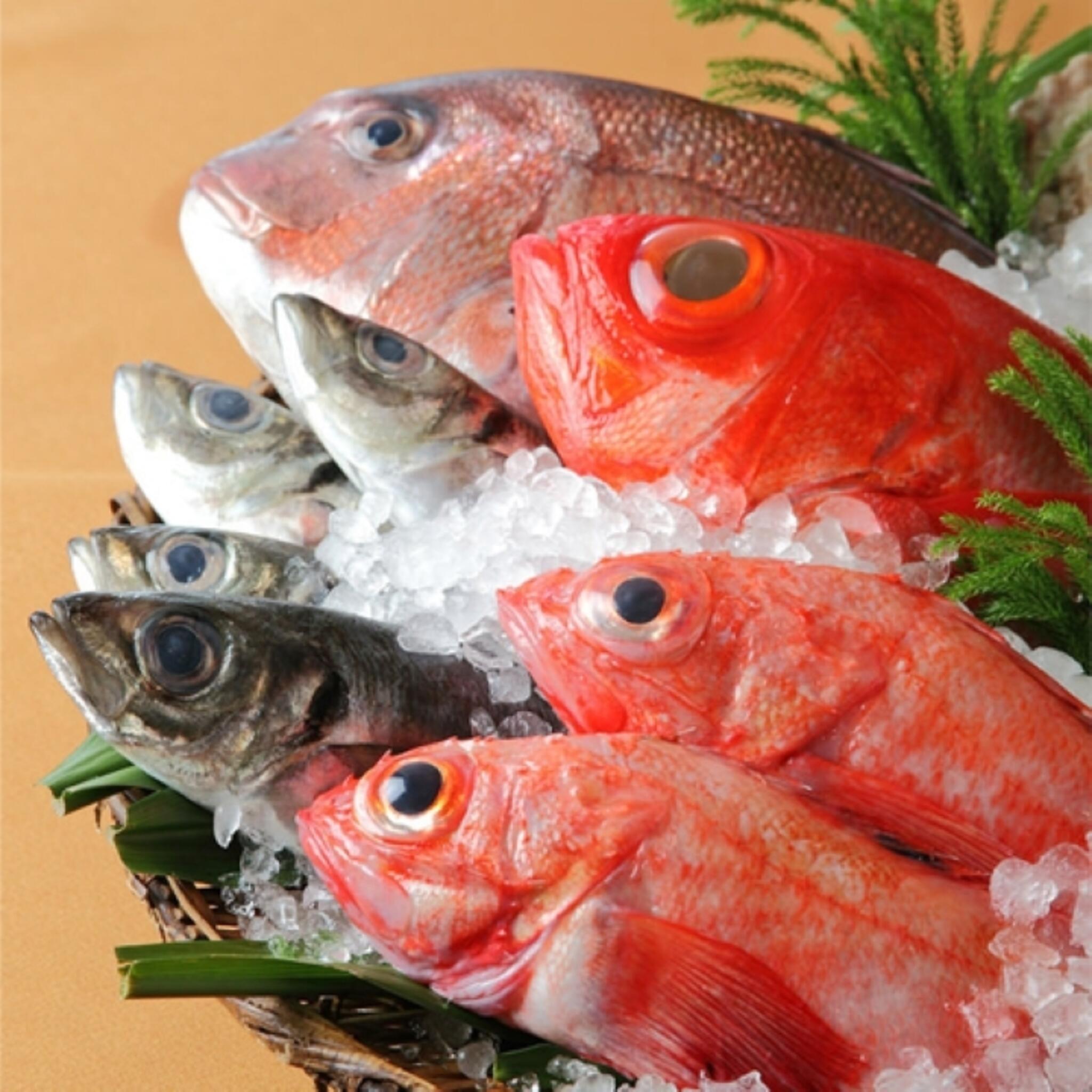魚がし日本一 京橋エドグラン店の代表写真3