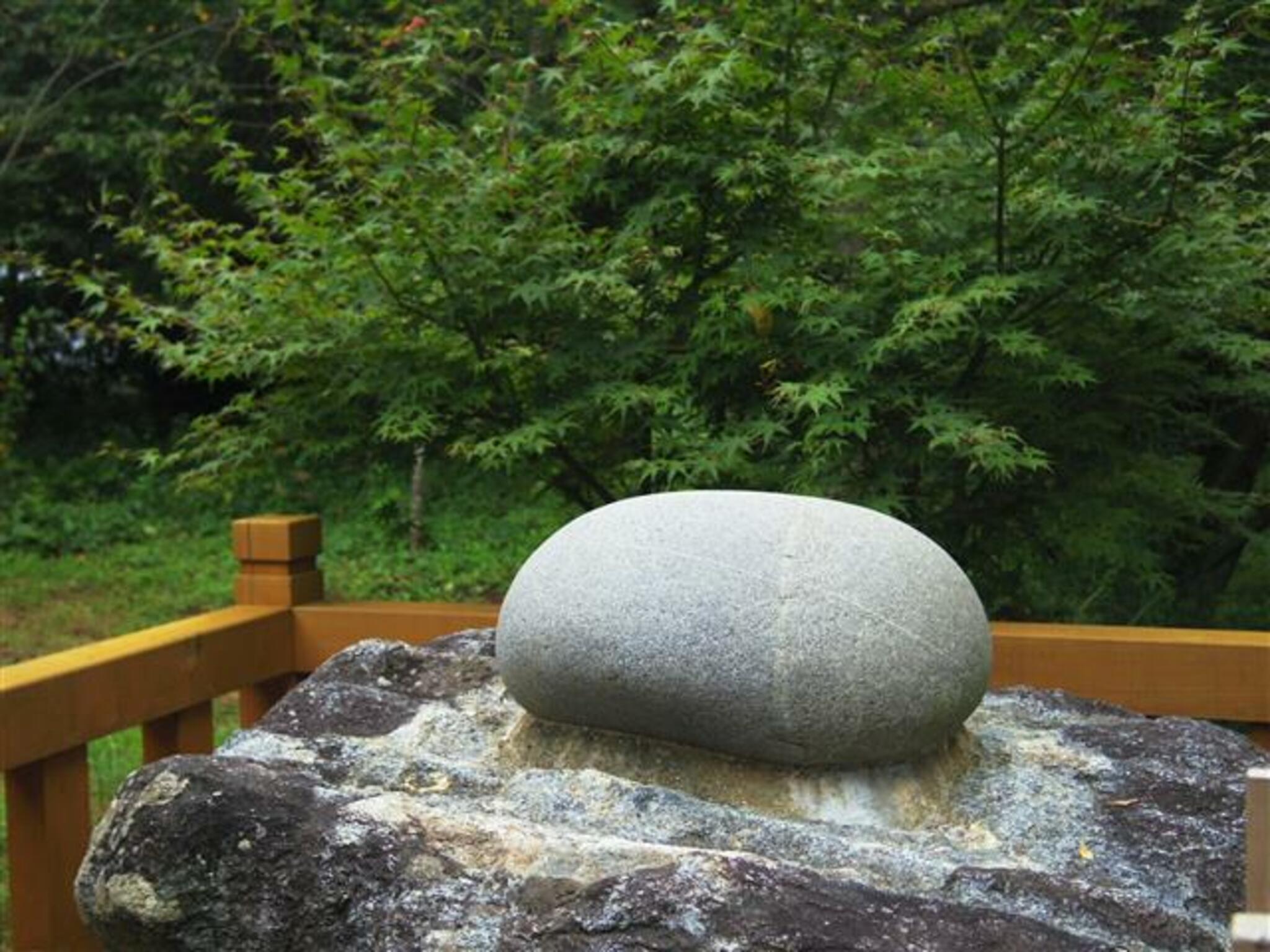 箱島神社の代表写真8