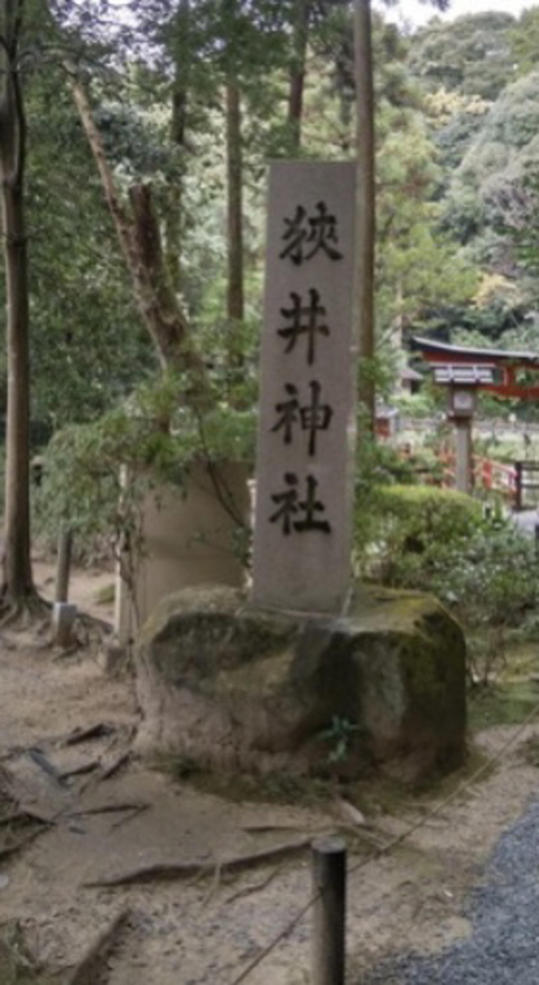 狭井神社の代表写真9