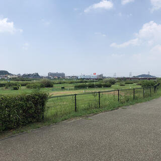 石川河川公園の写真4