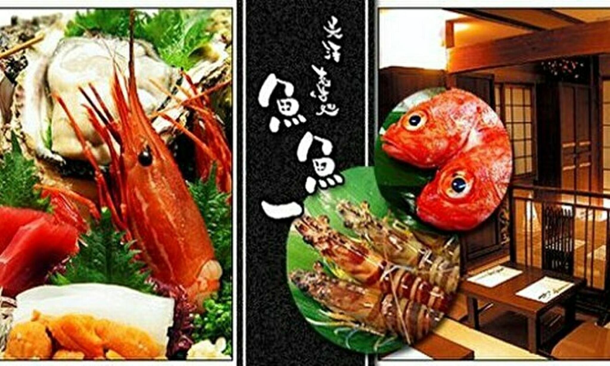 魚料理専門 魚魚一の代表写真1