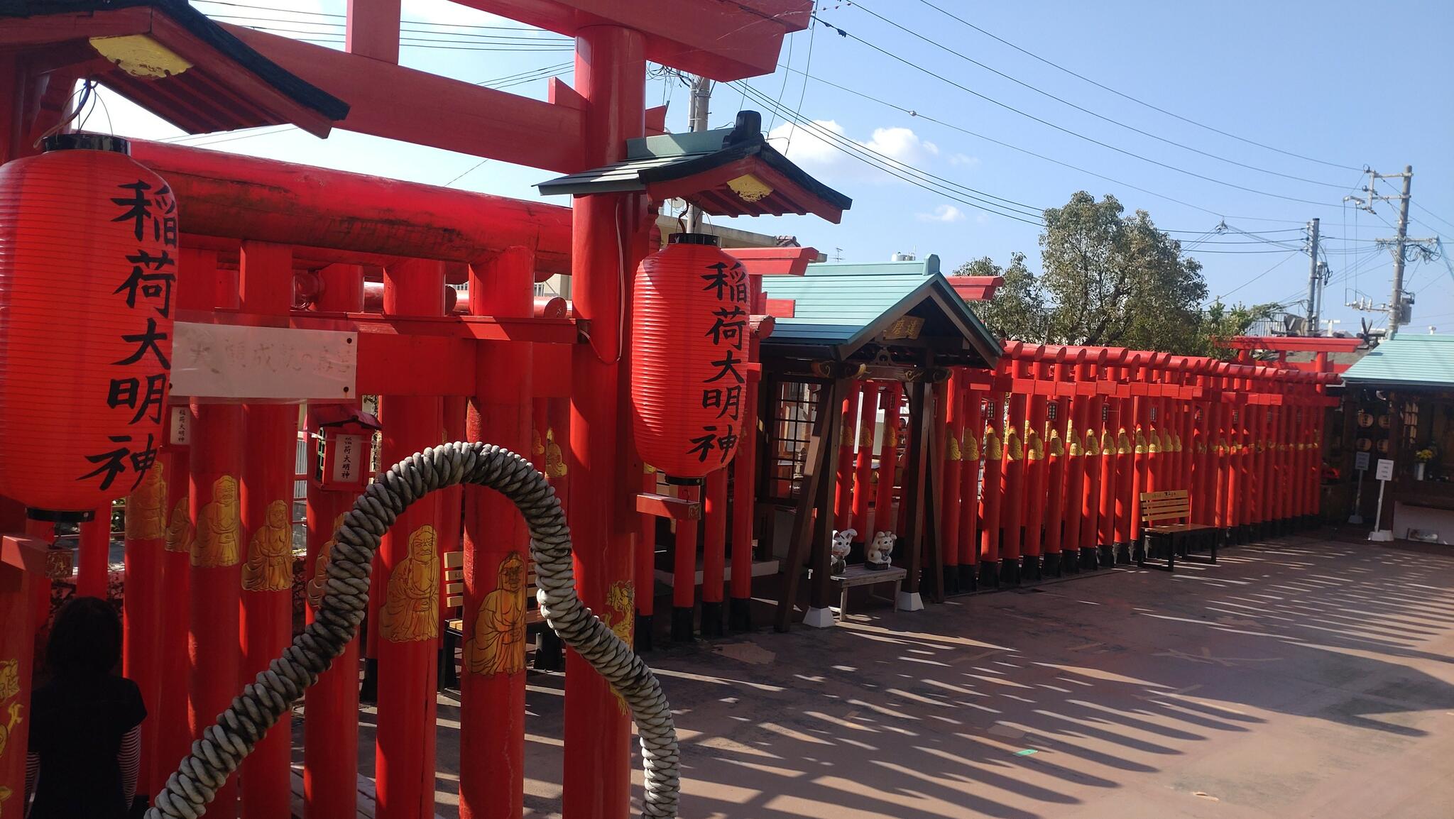 だるま寺 西来院の代表写真4