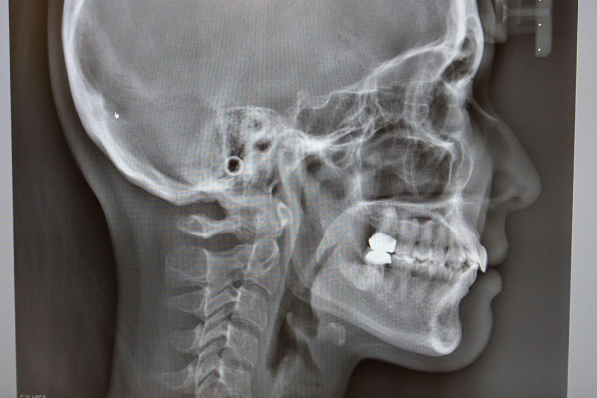 柏KT矯正歯科の代表写真3