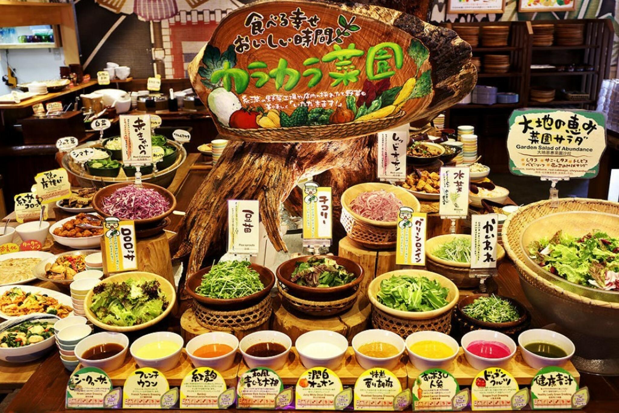沖縄菜園ビュッフェ カラカラ あしびなー店の代表写真2