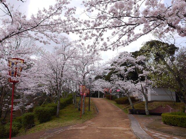 写真 共楽公園 舞鶴市字余部上/公園 Yahoo!マップ