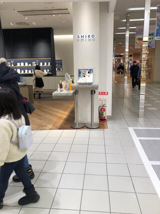 shiro ハンド コレクション クリーム 札幌