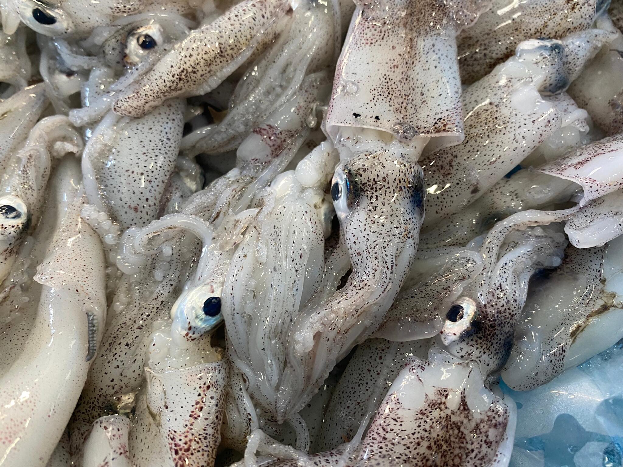 魚太郎 可児店　海鮮市場の代表写真2