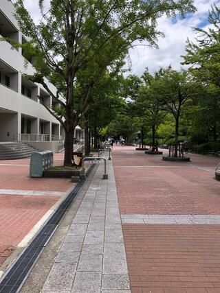 大阪大学 豊中キャンパスのクチコミ写真1