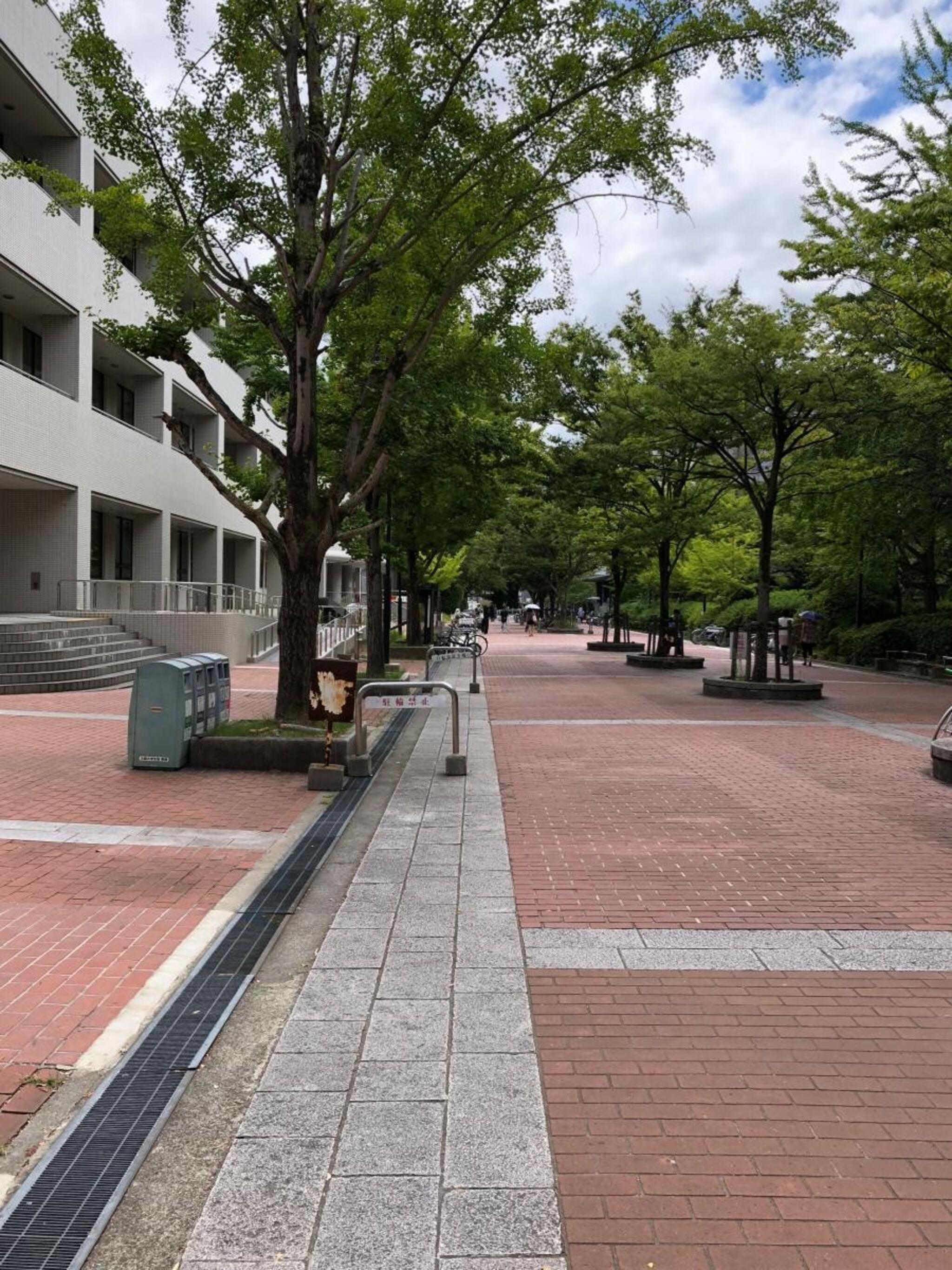 大阪大学 豊中キャンパスの代表写真4