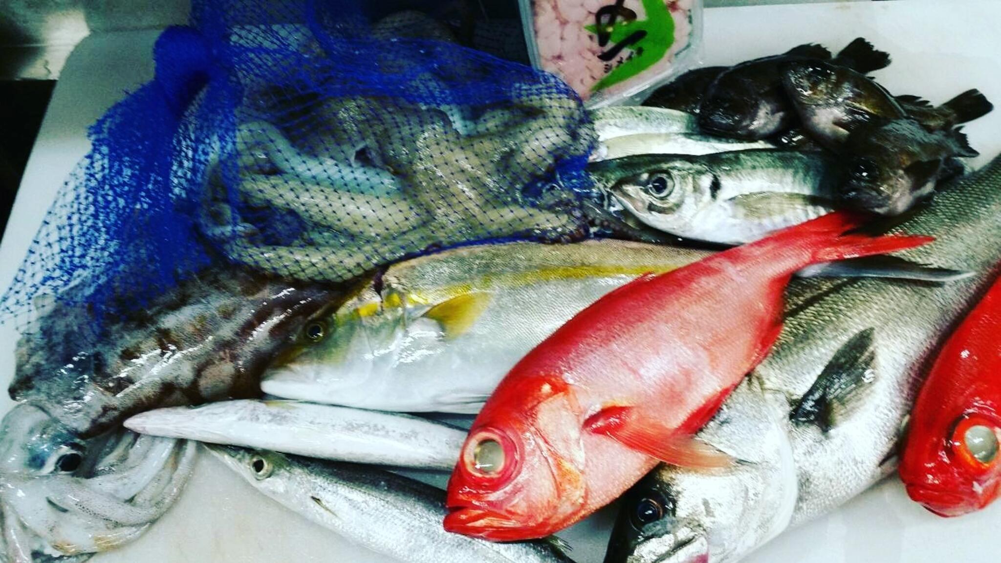 海鮮活魚 潤-uruoi-の代表写真2