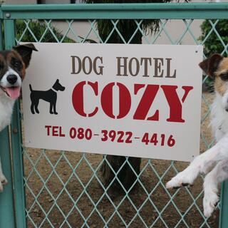 ドッグホテル　COZYの写真1