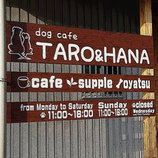 dog cafe TARO＆HANAの写真1