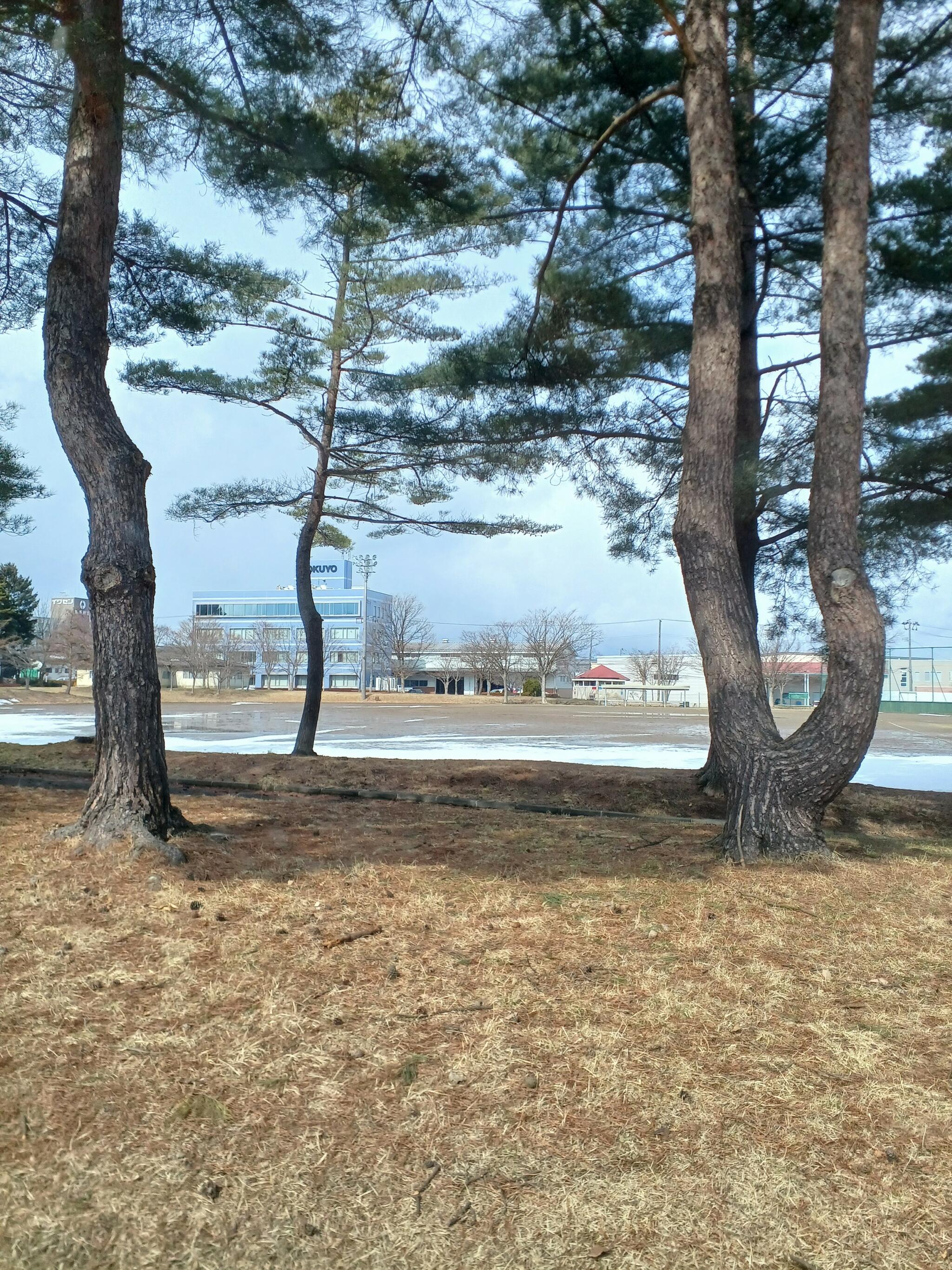 広宮沢公園の代表写真1