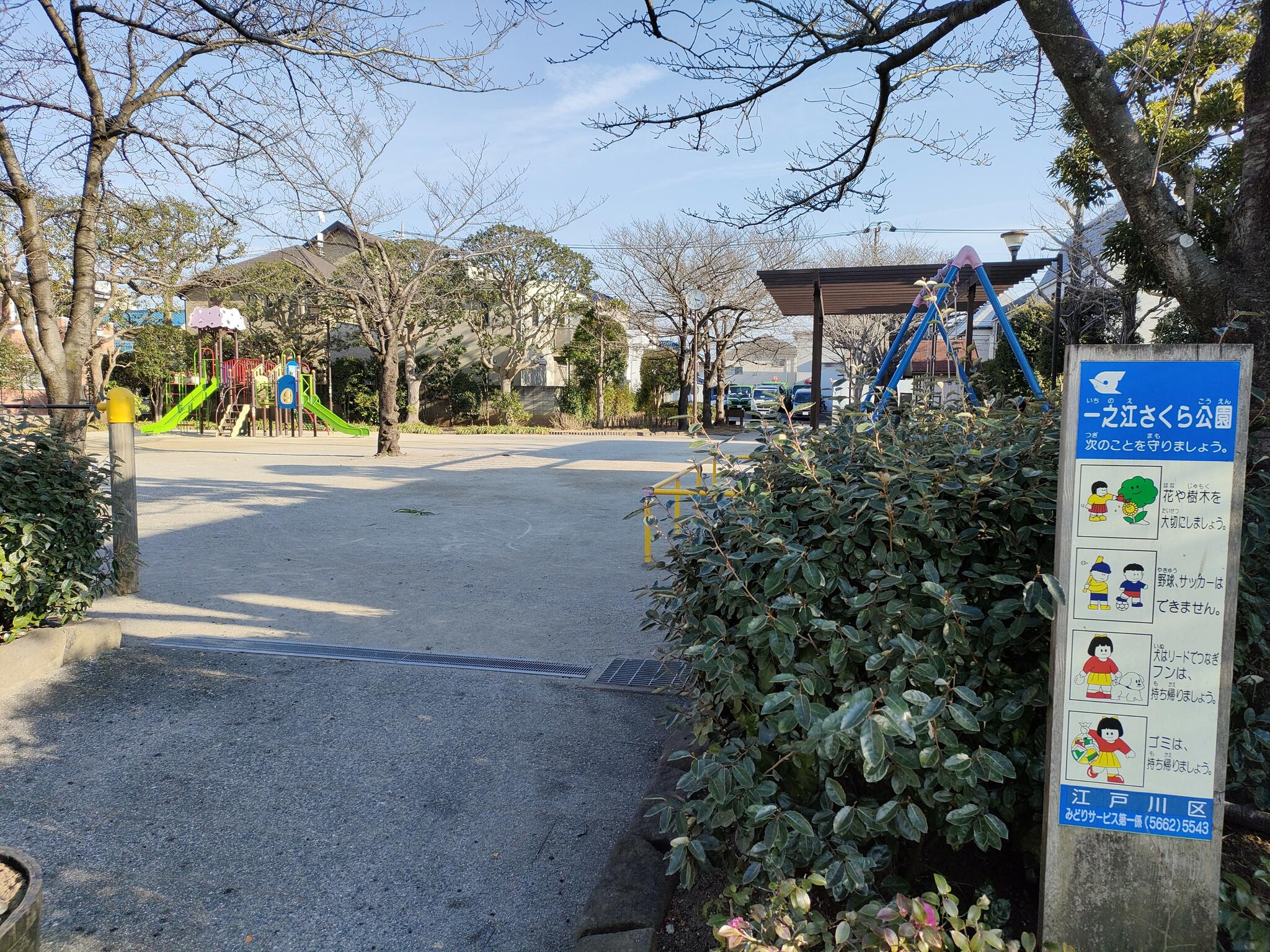 一之江さくら公園 - 江戸川区一之江/公園 | Yahoo!マップ