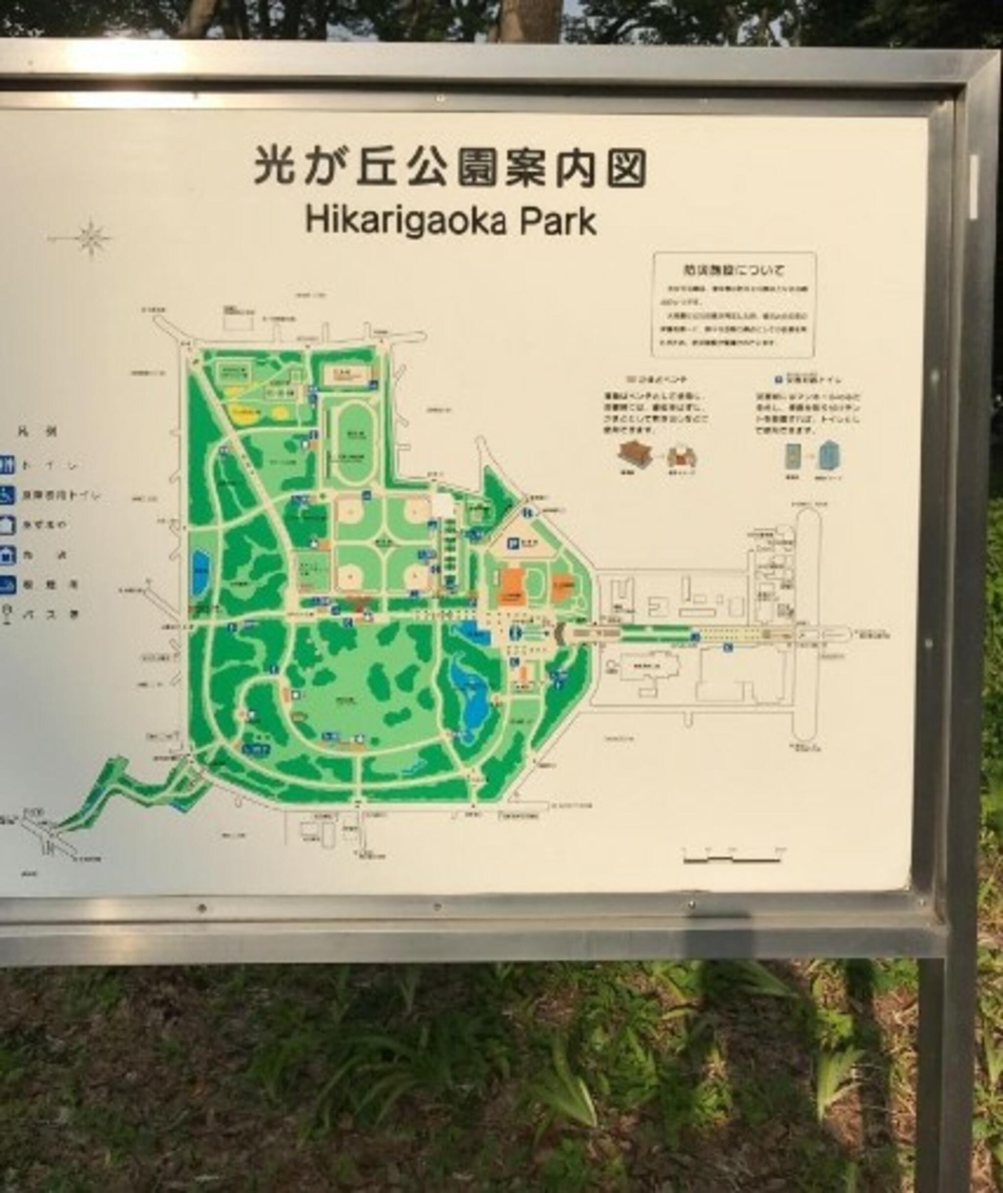 赤塚新町公園の代表写真10