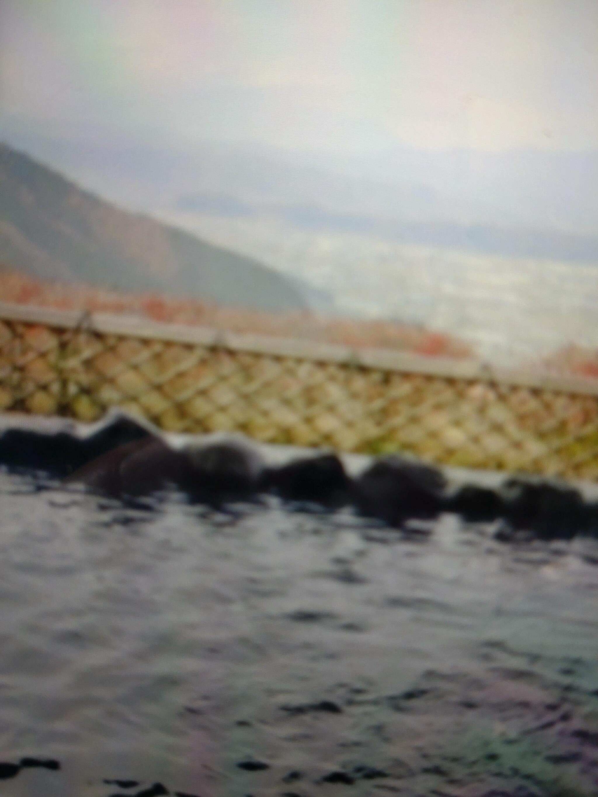 間山温泉 ぽんぽこの湯の代表写真10