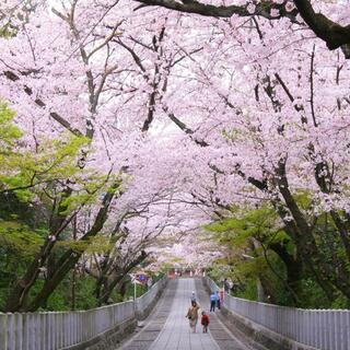 向日神社の写真20