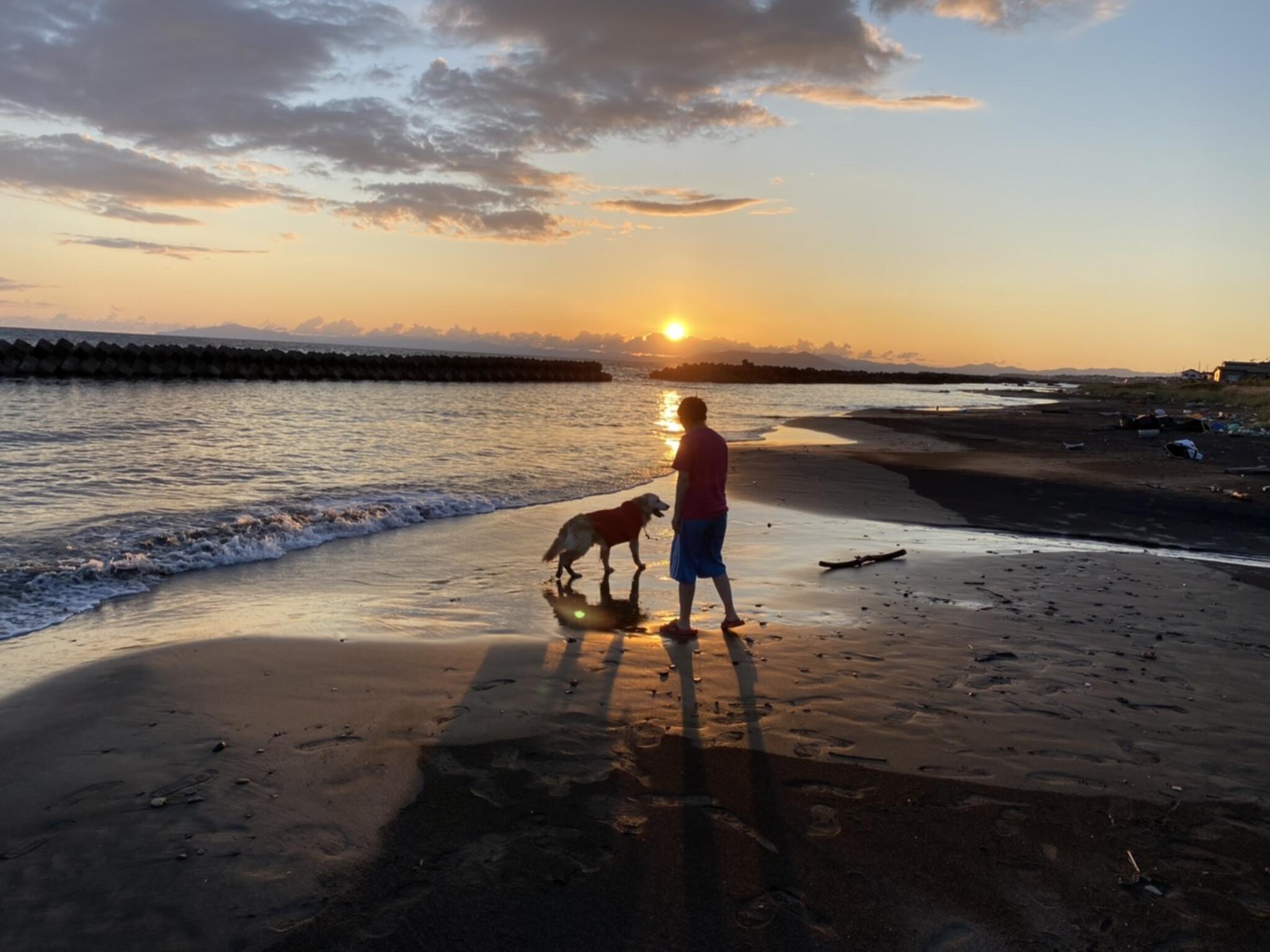 seaside in OYASUの代表写真3